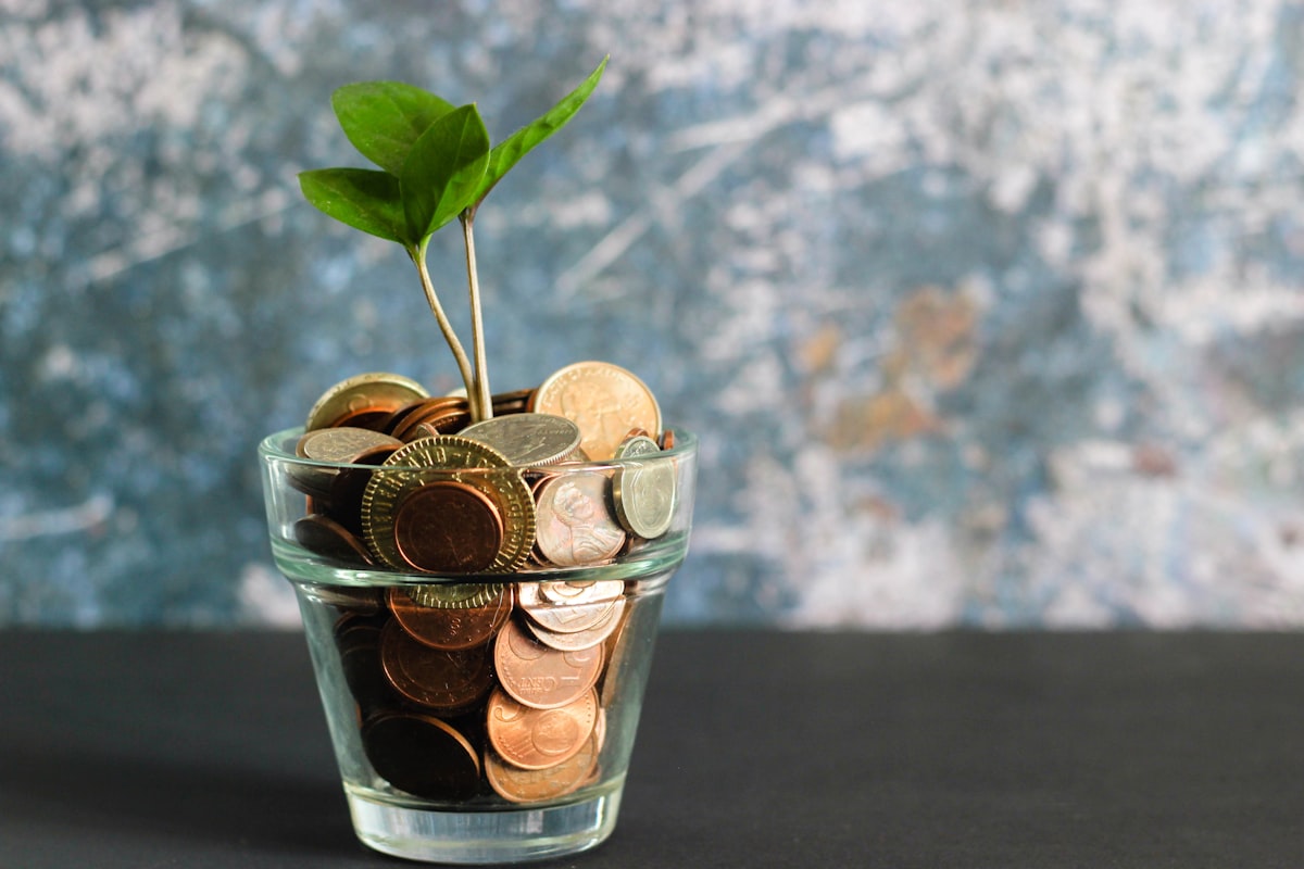Money tree symbolizing financial growth